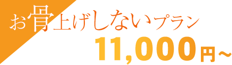 グȂv 1,1000~`